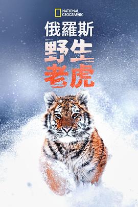 中文字幕排卵日出汗的发情事件妻子相泽明里蜜桃视频相关图片